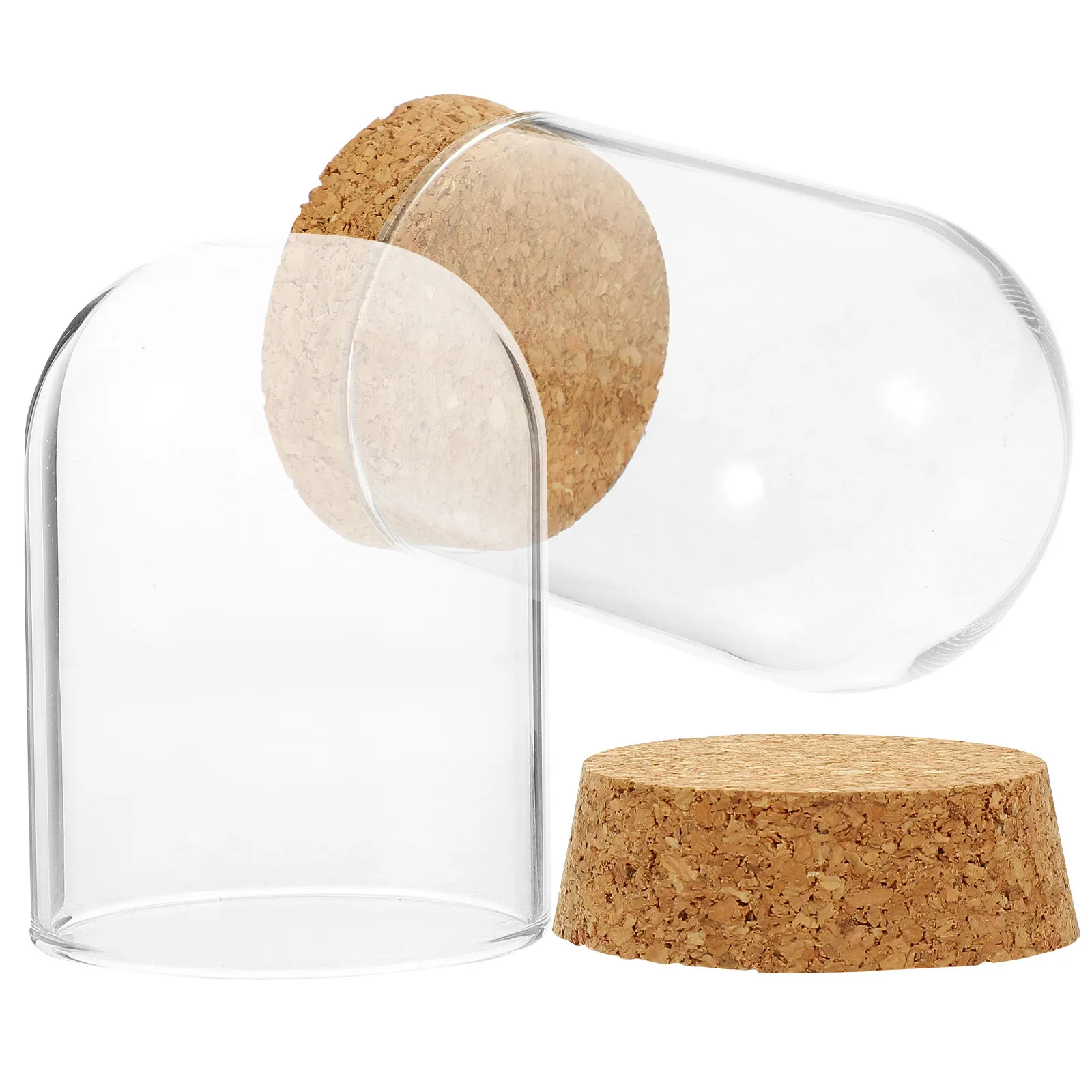 Immortal Flower Glass Dome Display with Cork Base – Clear Terrarium for Preserved Flowers, Banquet & Party Decor