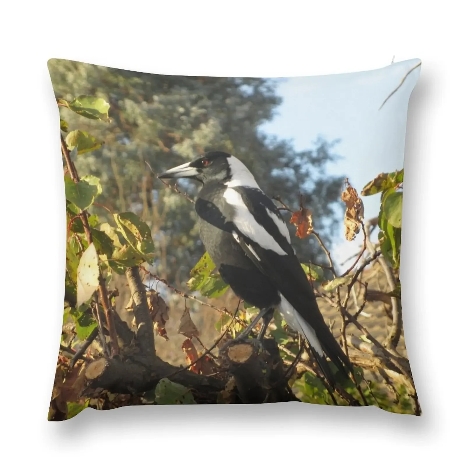 Australian Magpie - Male Throw Pillow Pillow Cover Pillow Case