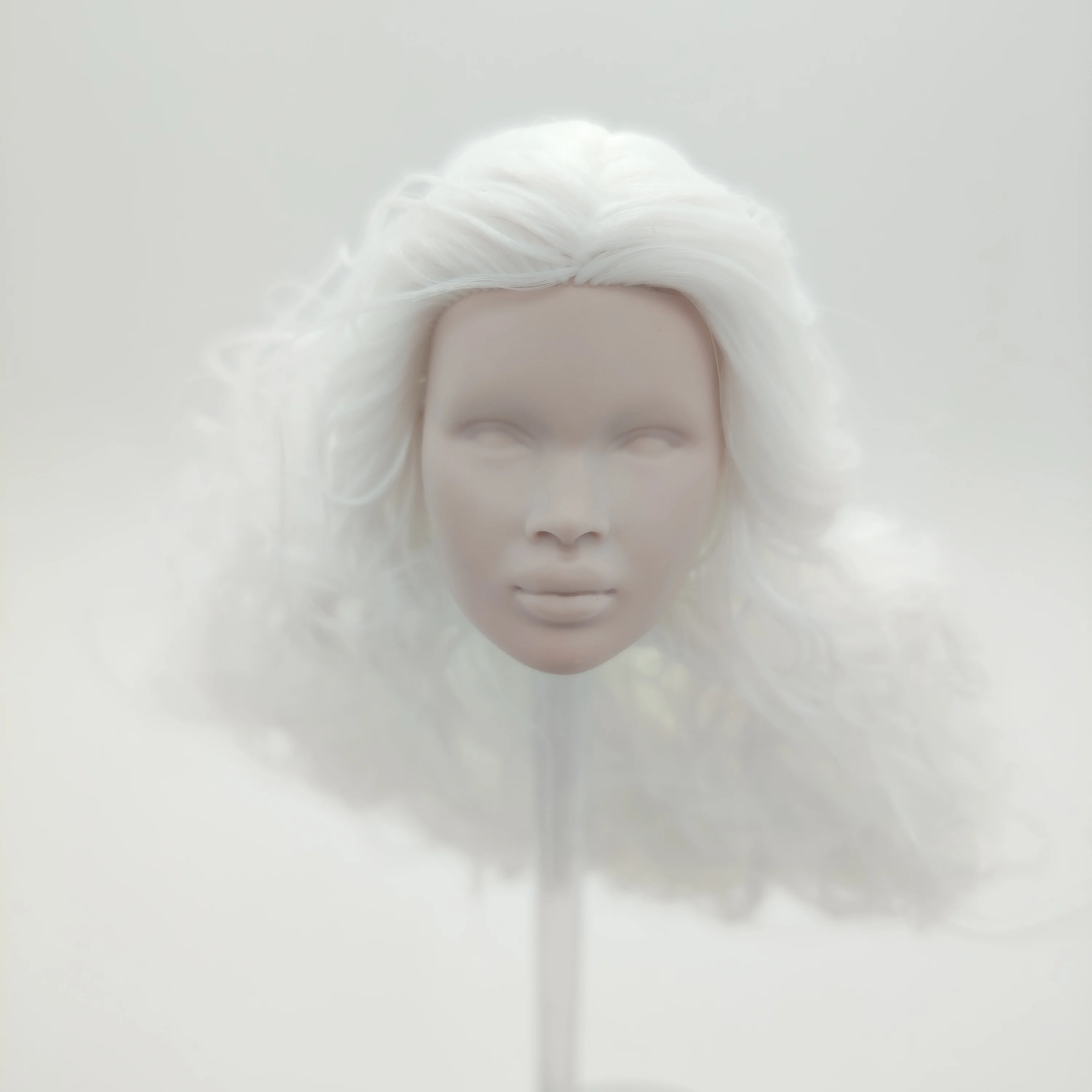 Fashion Royalty Nu.face Japan Skin Nadja Rhymes Blank Face Integrity White Hair Doll Head