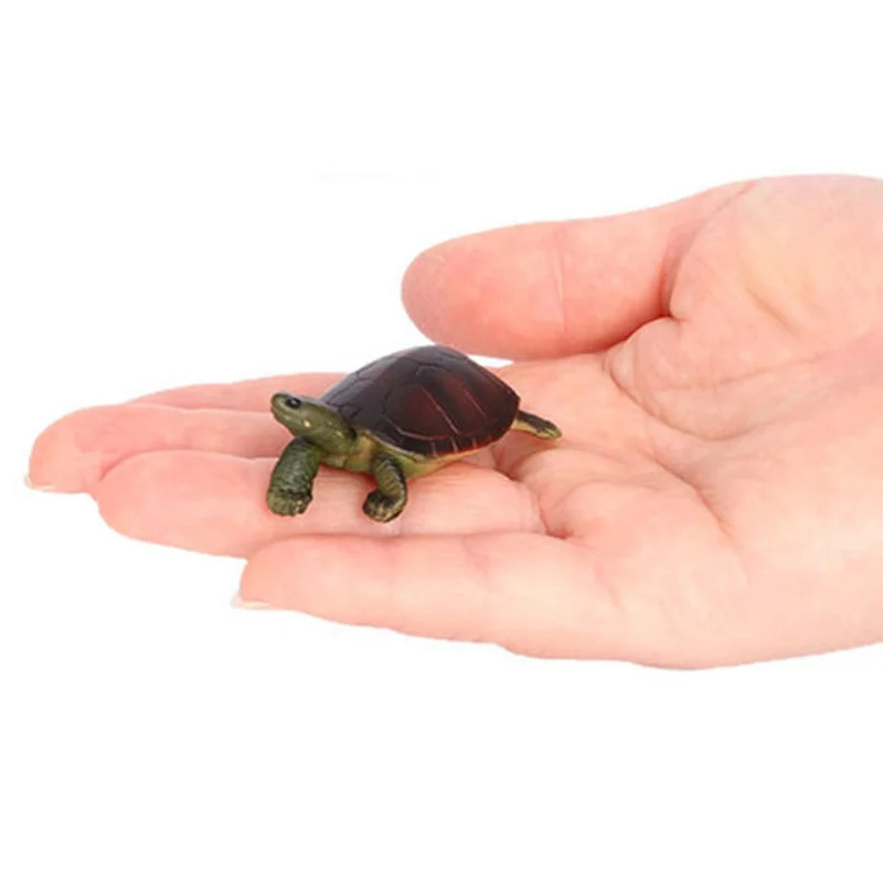 جديد محاكاة الزواحف الحيوان السلاحف الصغيرة شبل نموذج عمل تمثال أرقام جمع الدمى ألعاب تعليمية للأطفال هدية #5