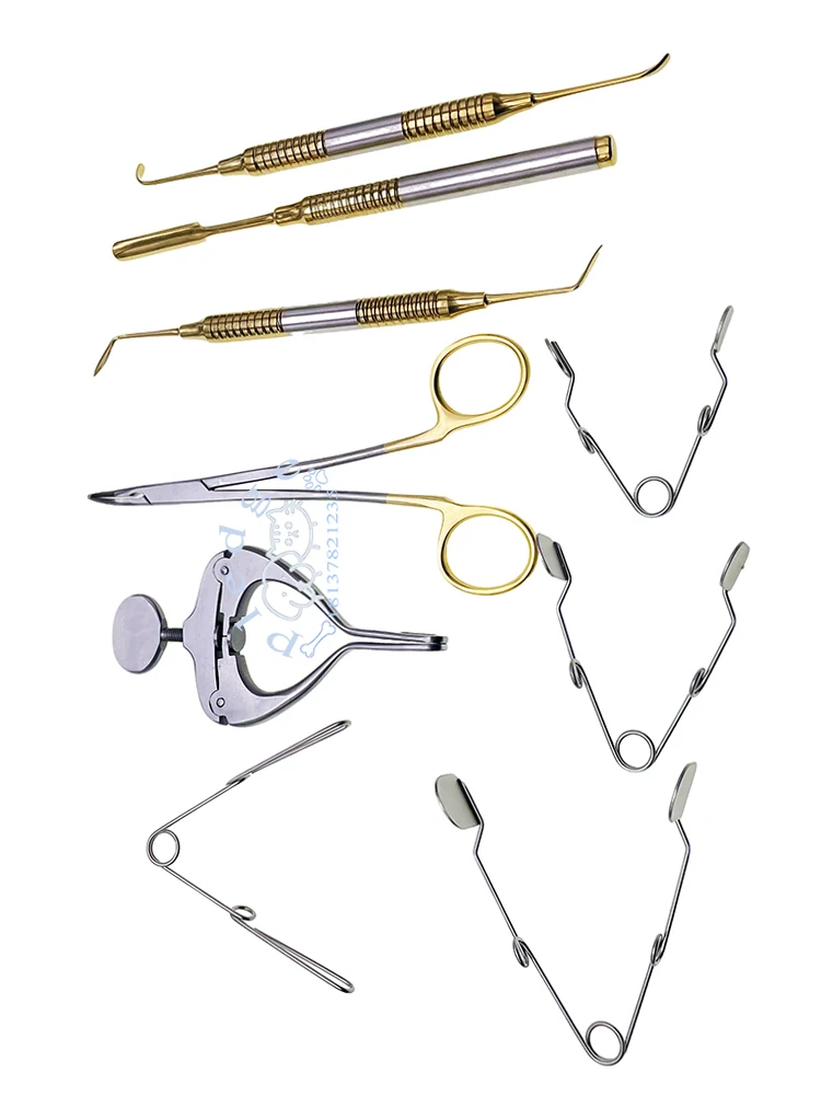 Kit de base pour animaux de compagnie, rongeurs et petits animaux : Spéculums ouvre-bouche, Instrument dentaire Surtechs, Élévateur dentaire oral en acier inoxydable