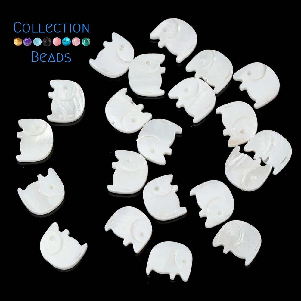 10 perles en forme de fleur d'éléphant en coquille blanche naturelle de 14x12mm pour la fabrication de bijoux, accessoires de bracelet et collier DIY