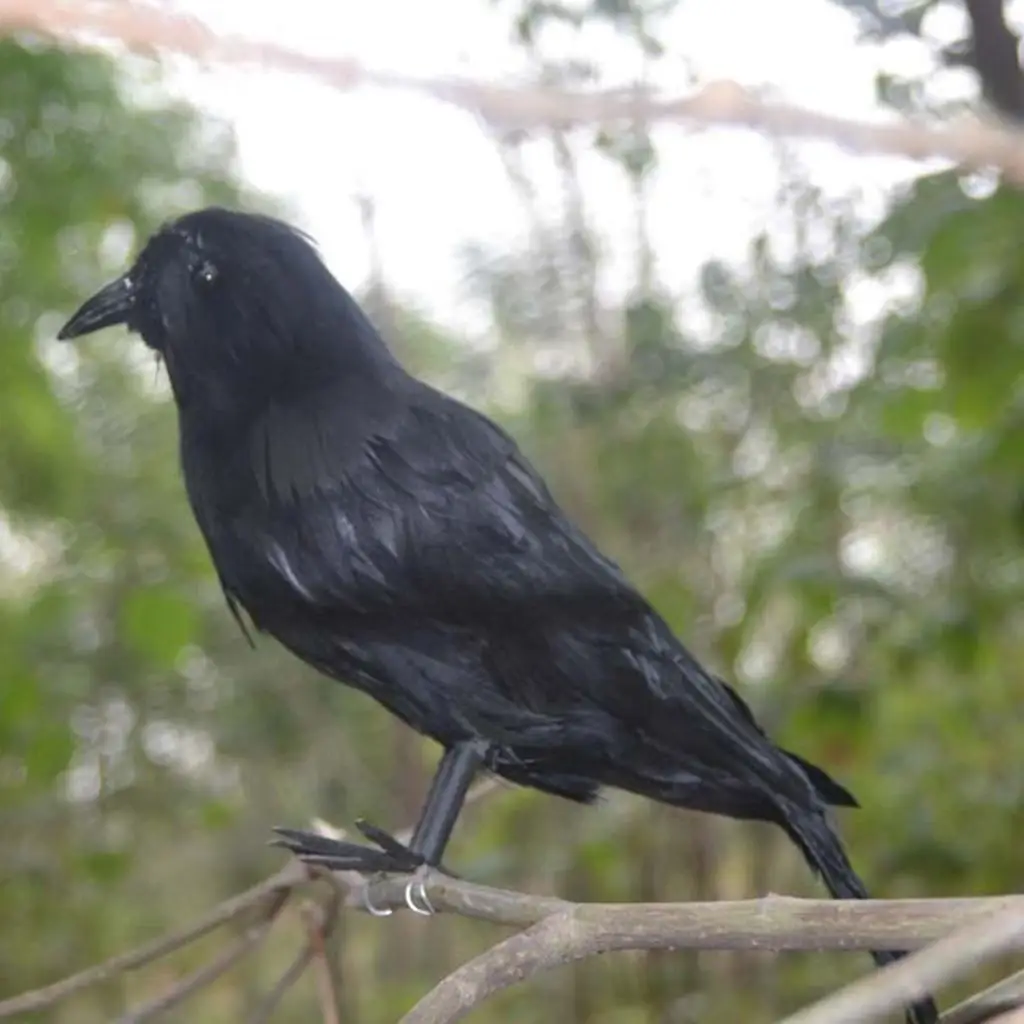 Halloween Ravens Props Black Feathered Small Crows Realistic Birds Set for Fall Halloween Decorations