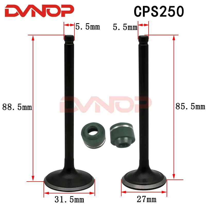 دراجة نارية صمام المحرك العادم مجموعات ل ZONGAHEN CB250-F KAYO CB250F CPS250 محرك 250cc #2