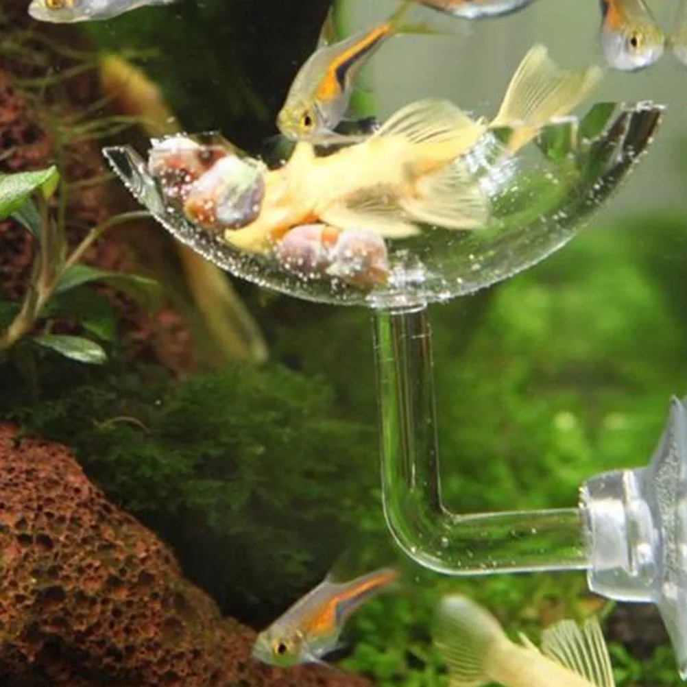 

Transparent Shrimp Feed Dish Acrylic Feeding Bowl Floating Feeder for Shrimp Fish Lizard Crysting Food Basin Feeder Bowl