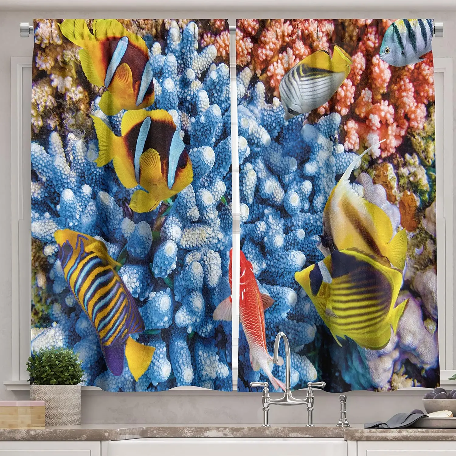 Modern Kitchen Curtains, Aquatic Caribbean Underwater Sea with Tropical Fishes and Coral Reef Depth Print, Window Drapes 2 Panel