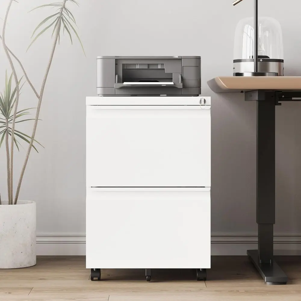 

2 Drawer File CabinetMobile Filing Cabinet with Lock and WheelsFully Assembled Metal Under Desk File Cabinets for A4 Letter Leg
