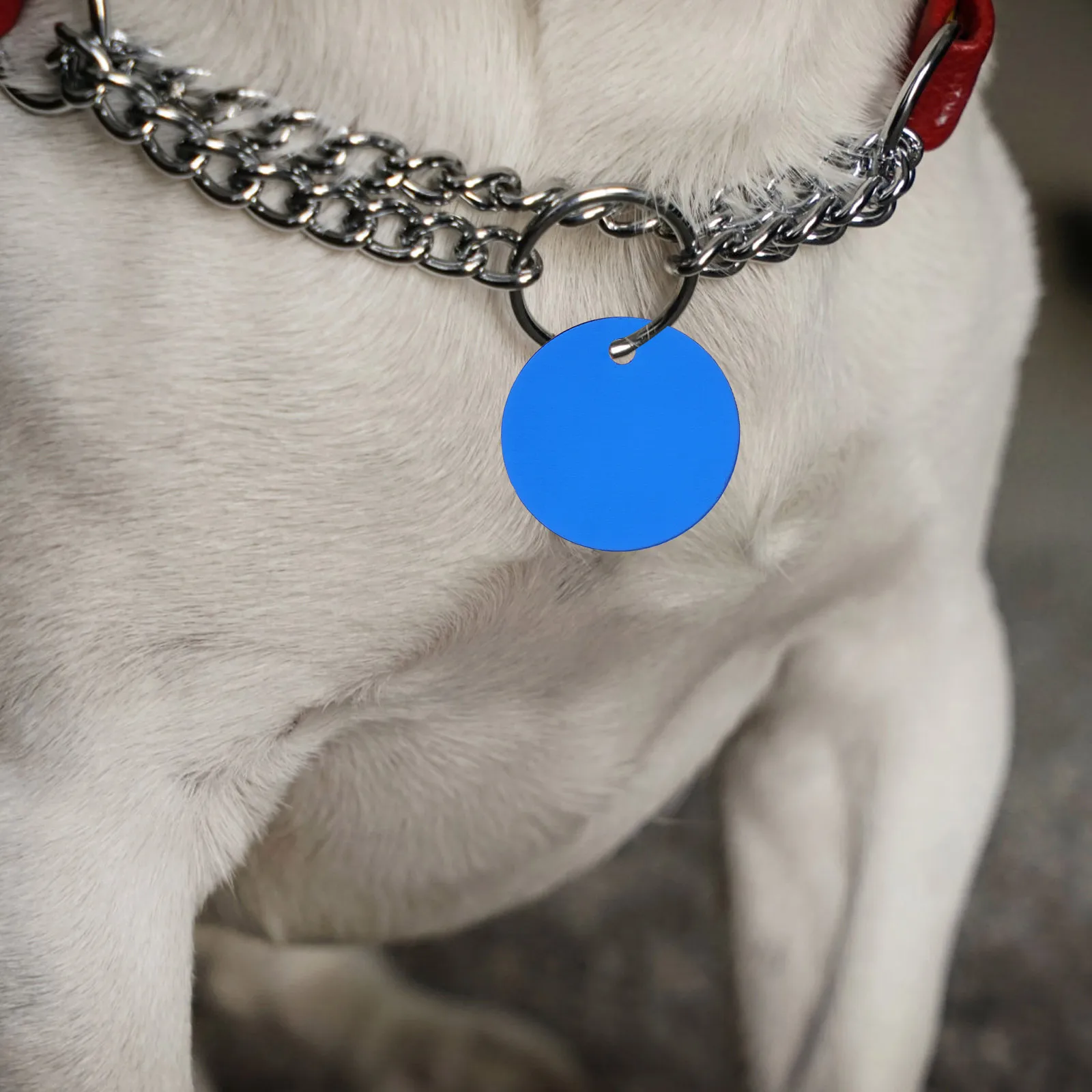 

25 Pcs Aluminum Alloy Hanging Tag Dog Tags Stamping Charms Label Blank Decorative Disc Pendant Metal Chain