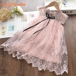 Bear Leader Girls Dress 2025 New Summer Mesh Girls Clothes Pink Applique Princess Dress Children Summer Clothes Baby Girls Dress
