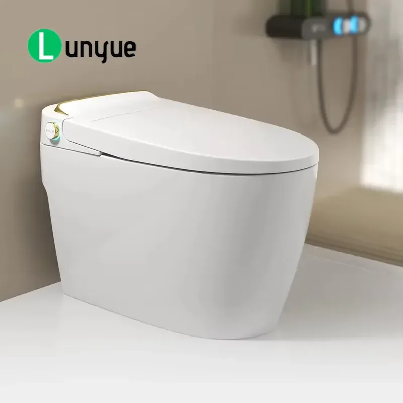 Certified Floor to Ceiling Smart Bidet Toilet Non Electric Integrated Design for Hotel Bathroom Modern Water Saving