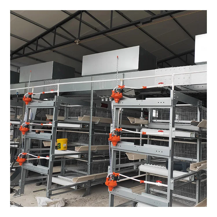 

Chicken Manure Dung Cleaner Scraper For Poultry Farming Equipment