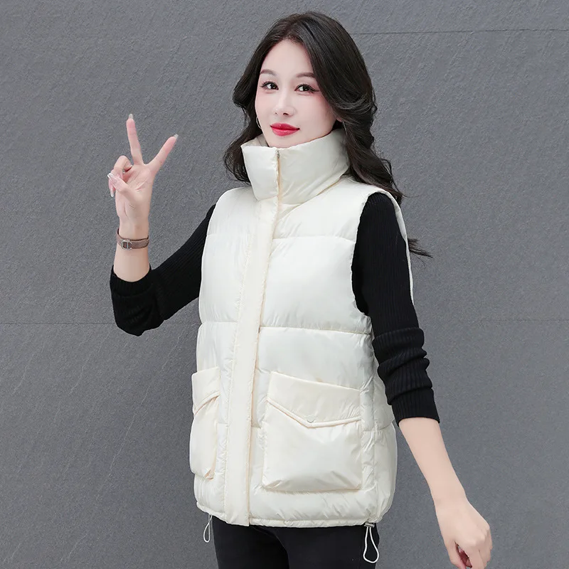 Zipper Front down Jacket Large Pocket Stand Collar Loose Fit for Middle-Aged Women Autumn Winter Fashion Outerwear