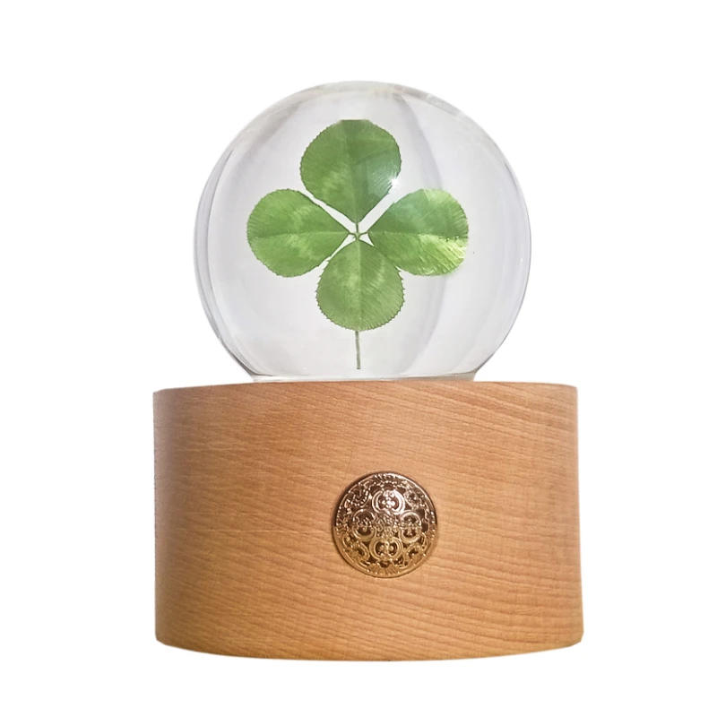 Clover Preserved Fresh Flower Specimen Desktop Decoration