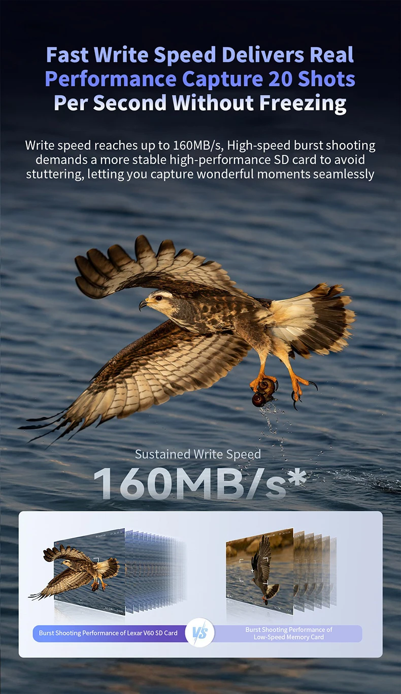 Lexar Professional Speicherkarte SILVER Pro V60 C10 UHS-I 4K Ultra HD Bildqualität Flash-Karte für DSLR-Kamera – Detail 7
