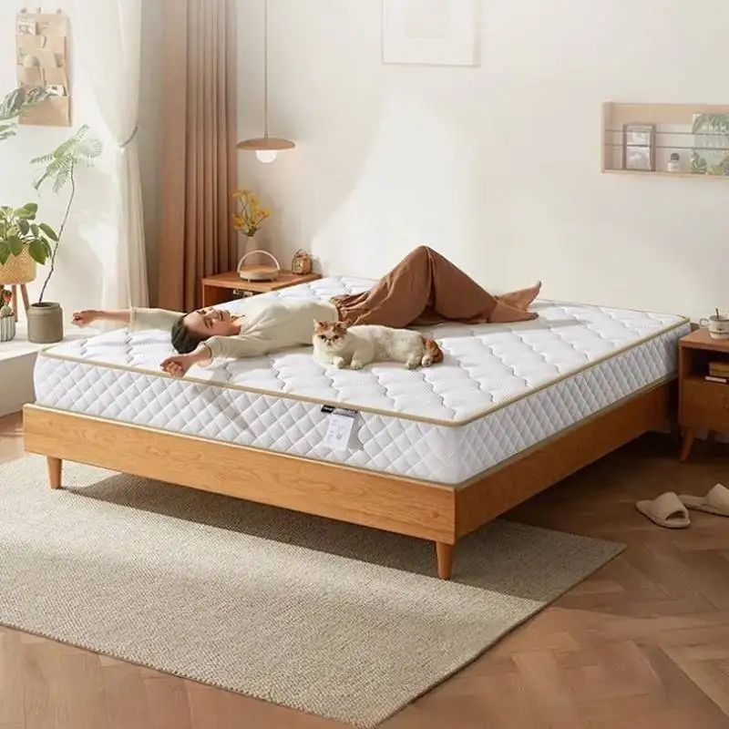 Materassi per dormire per adulti Trapunte Dimensioni doppie Camera da letto Materassi king size Doppio fresco morbido Matelas De Lit Mobili per la casa