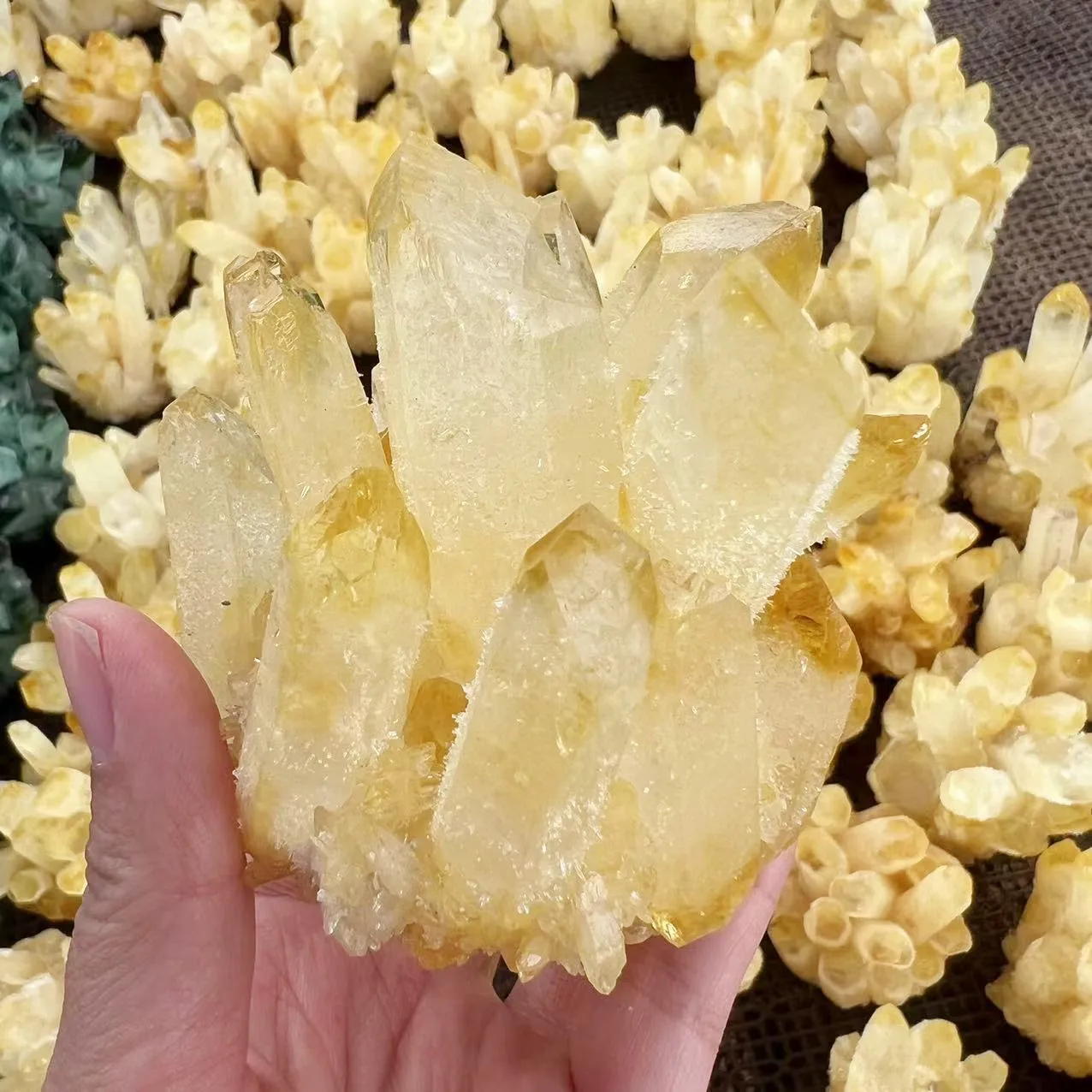 300-1000g  Natural yellow Ghost Phantom Quartz Crystal Cluster Healing Specimen