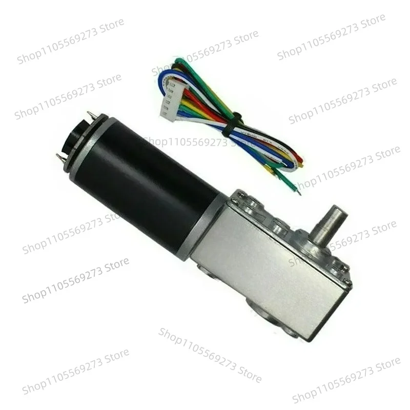 GW4058-31ZY DC Worm Gear Motor with Magnetic Hall Encoder 12V 24V Low RPM High Torque for Robot DIY Automation