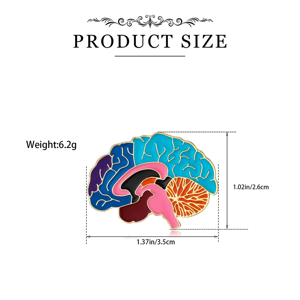 Hanreshe Brain Brooch Anatomy Medical Colorful Enamel Pin Jewelry for Doctor Nurse Biologist Backpack Lapel Clothes Badge