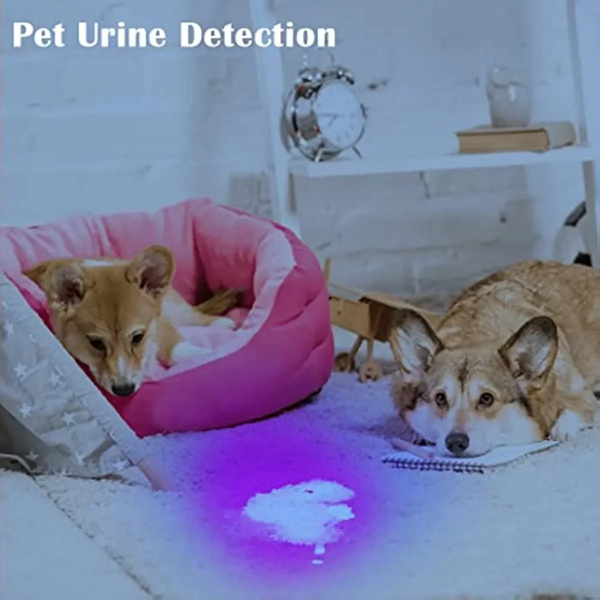 Linterna UV ultravioleta para mascotas, lámpara de luz negra de 395nm, Mini linterna UV, Detector de luz UV para escorpión de manchas de orina