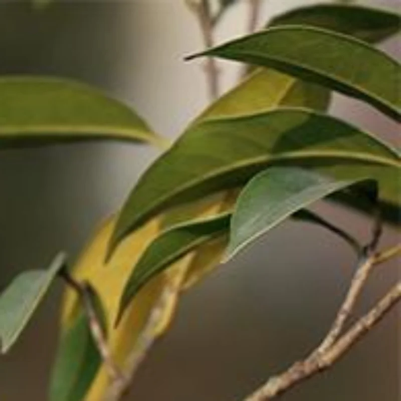 1Pcs Random Simulation Swallow Tail Bird Clip Handmade Bird Plant-decorated Artificial Bird Handicrafts For Ornament