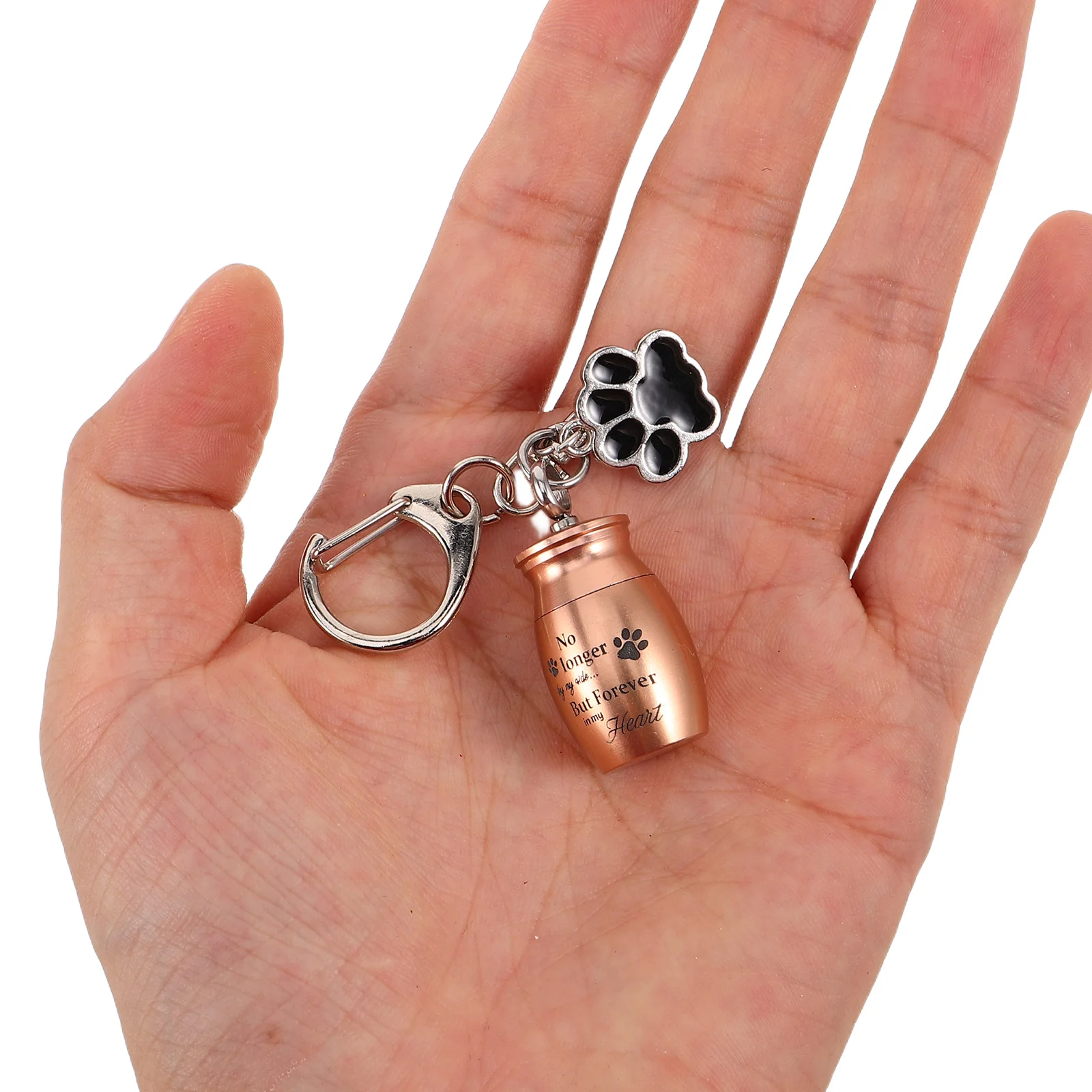 

4Pcs Pet Ashes Keychain Cremation Jewelry Dog Cat Memorial Charm Portable Keepsake Vial Pendant for Emotional Tribute