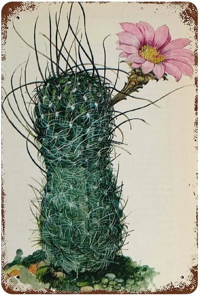 Retro Funny Metal Tin Sign Picture Of Cactus For Framing 6 Wall Decor Kitchen Bathroom Restaurants Baking 8x12 Inch sign