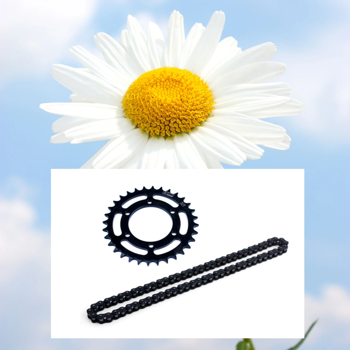 

GPM Promoto MX LOS06000.LOS06002 For Carbon Steel Hub Chain Sprocket+Manganese Steel Chain Roller