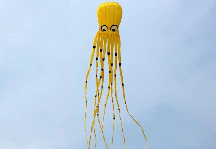 15m Single Line Ray Fish Inflatable Kite