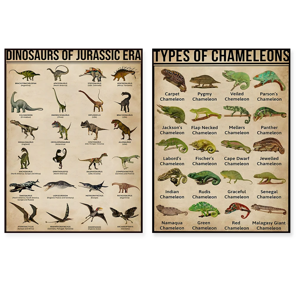 Types of Gecko, Types of Dinosaur, Types of Chameleon, Knowledge Vintage Poster Nordic Modern Home Living Room Wall Decor