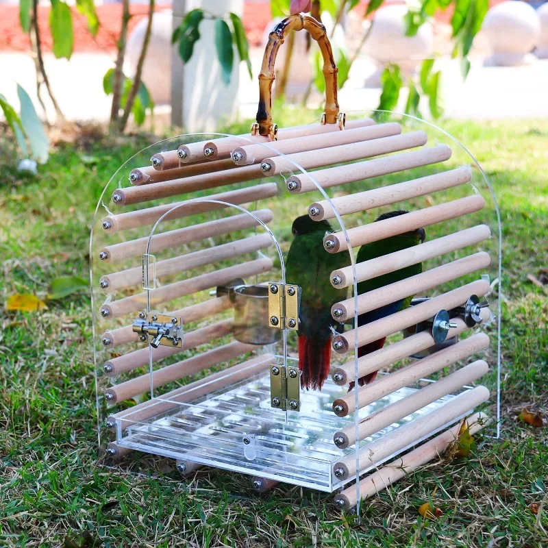 

Parrot Out Of Cage Birds Birdcage Acrylic Transparent Transparent Panoramic Parrot Birdcage Cages For Birds Cages For Birds