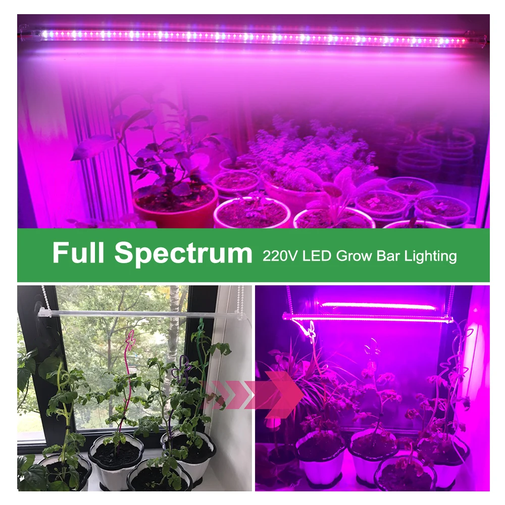 Pflanzenlampe LED Vollspektrum, 243 LEDs Pflanzenlicht mit 3 Beleuchtungsmodi Grow Light,120cm Grow Lampe mit Timer 6/12/16H für Indoor Pflanze Zimmerpflanzen