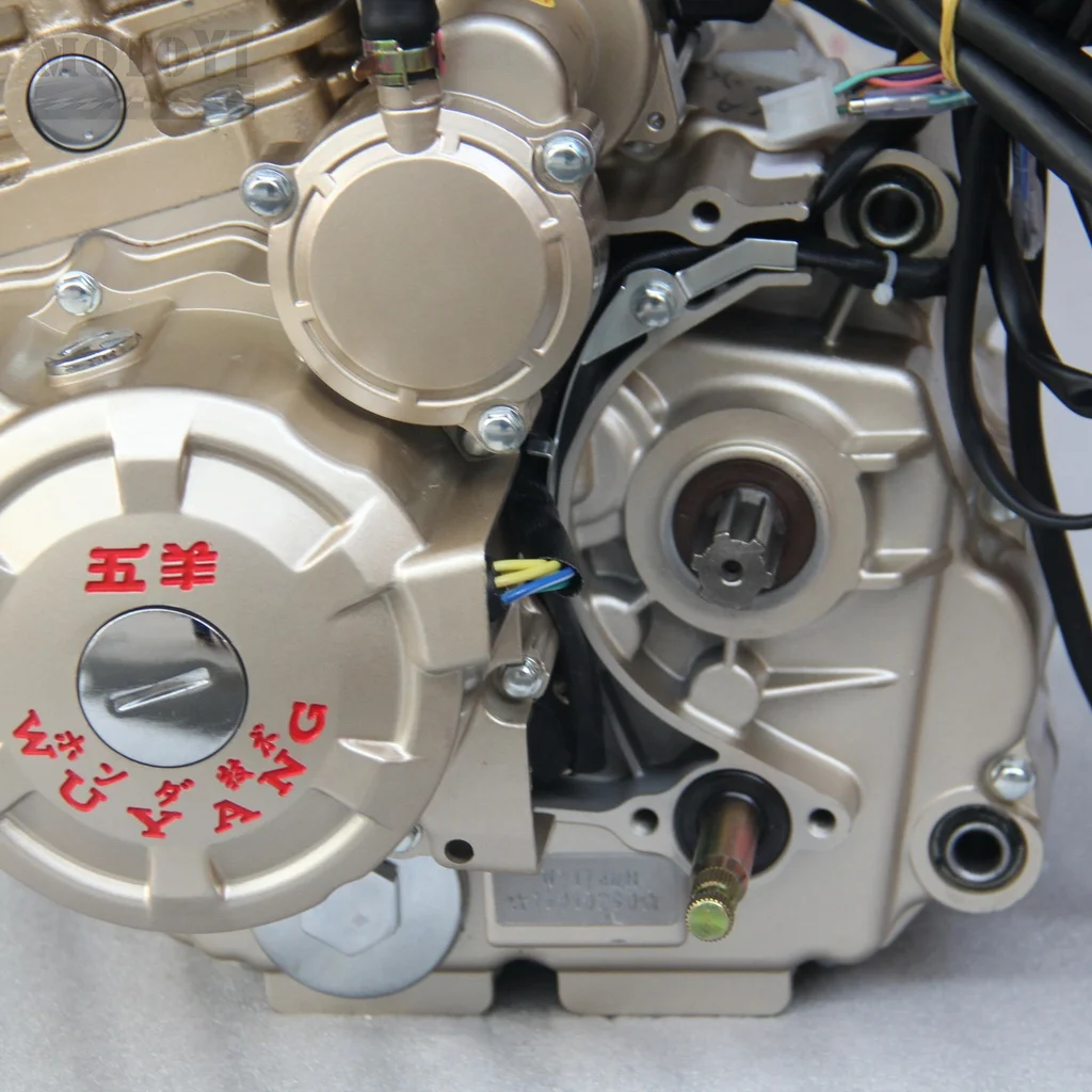 300CC Engine with Complete Accessory Kit, Universal Power Assembly for Motorcycles, ATV and Go Carts
