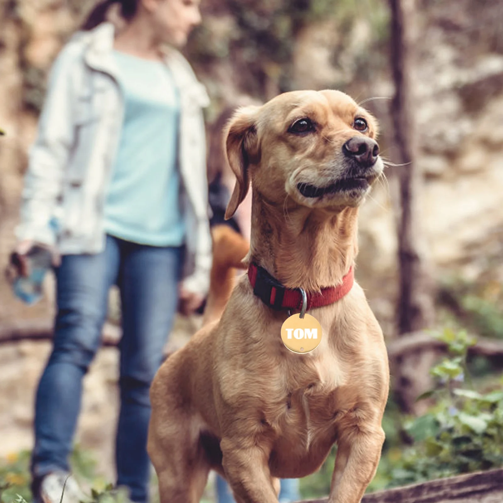 

6Pcs Stainless Steel Blanks Round Dog Tags for Engraving Anti-Lost Pet Id Name Tag DIY Metal Stamping Pendant Jewelry Making