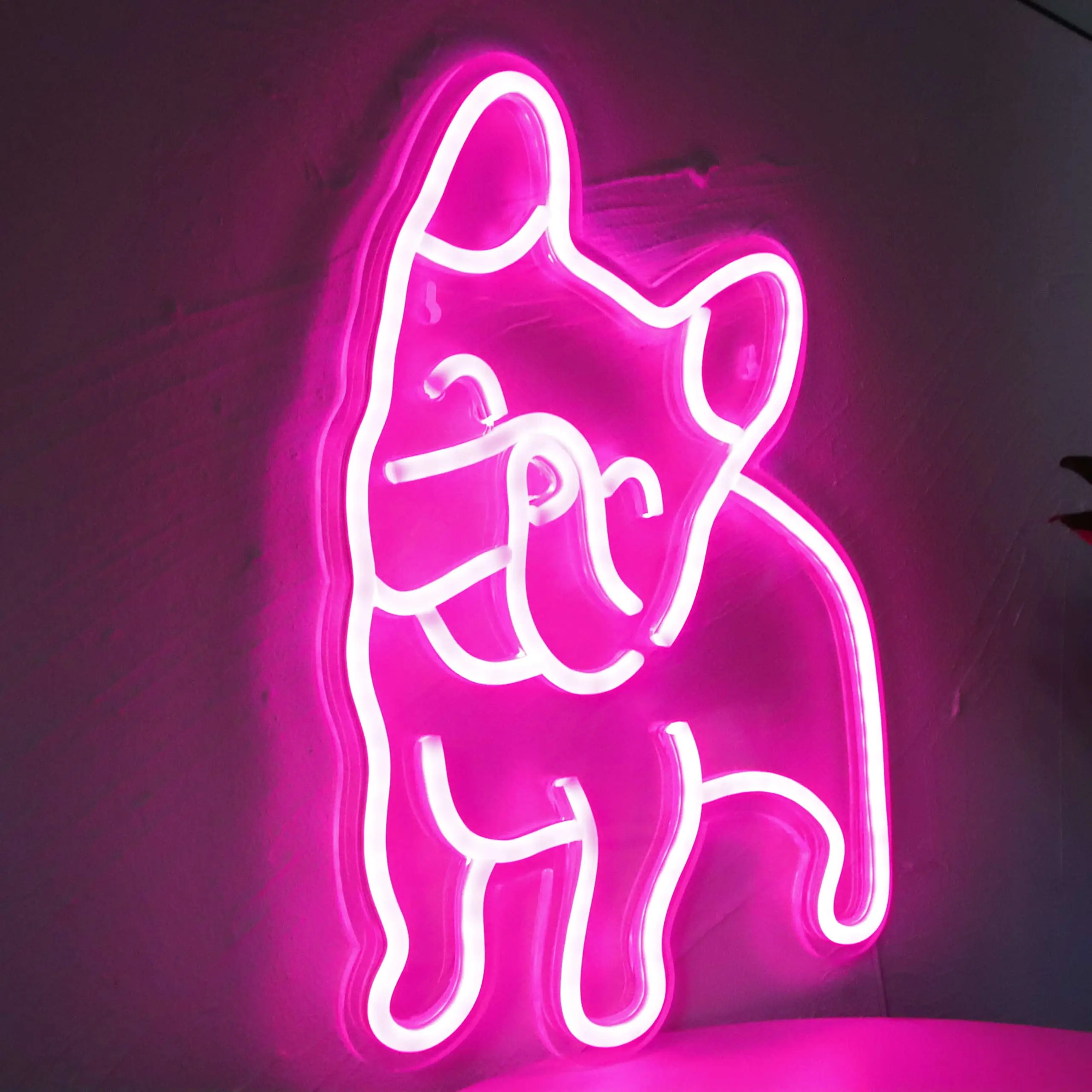 Enseigne au néon à Led bouledogue français, panneau personnalisé pour maison, chambre d'animal domestique, décoration murale, chambre d'enfant