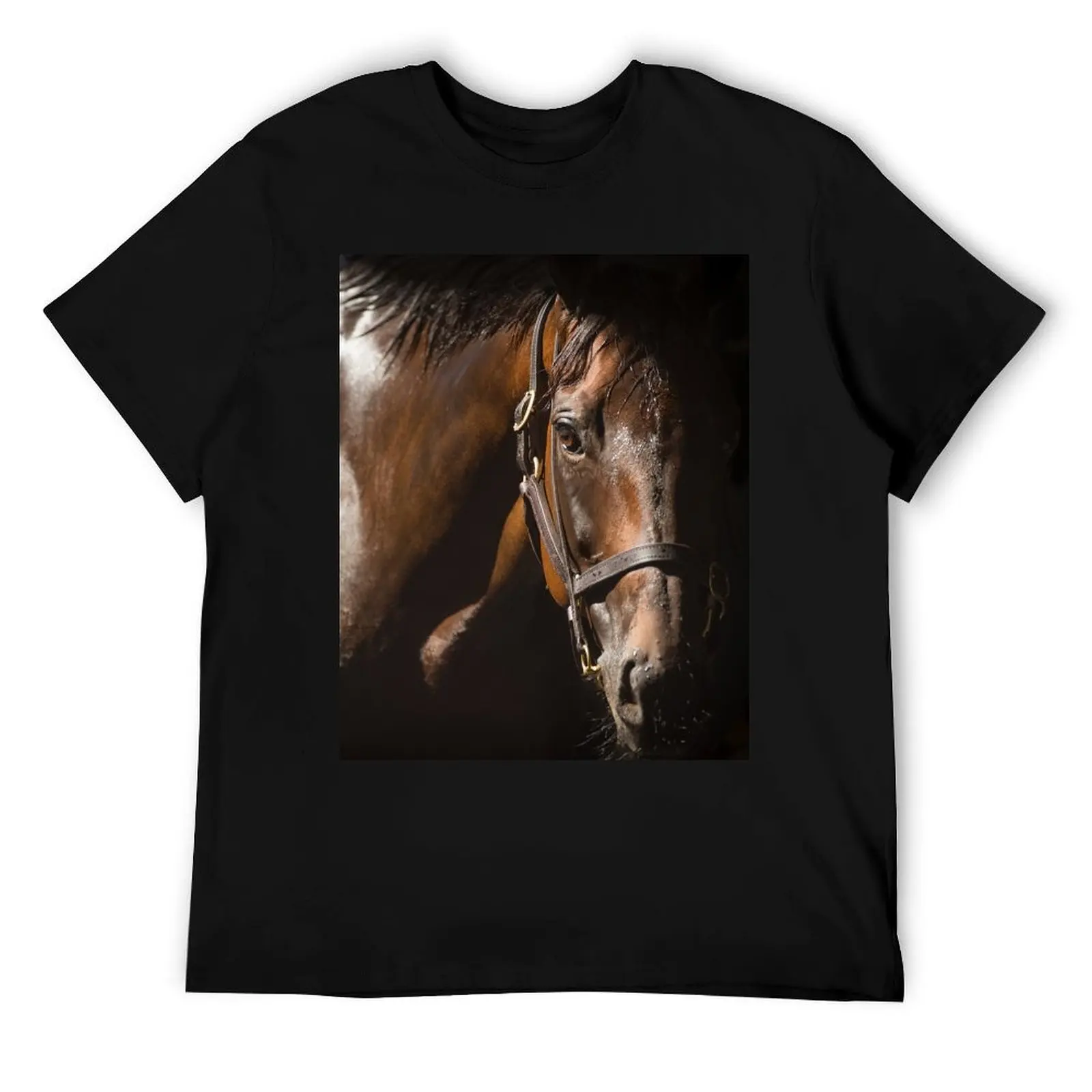 

Winx - In The Shadows T-Shirt t shirt man luxury t shirts for man graphic funny printed t shirts for man T-Shirt