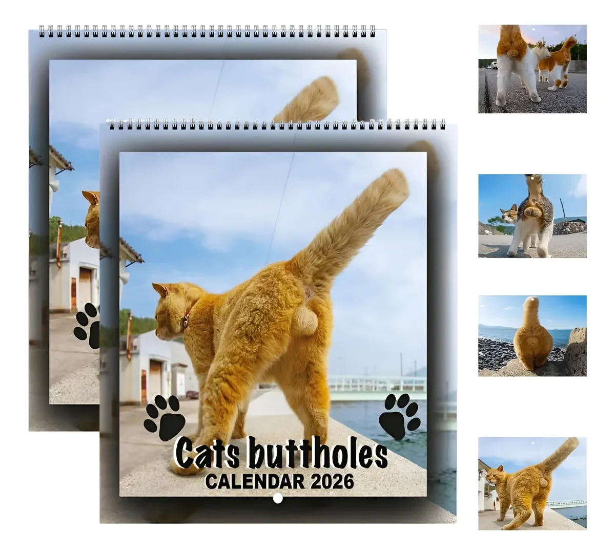 

2026 Funny Cat Butt Calendar, 12-Month Humorous Cat Tail Wall Calendar, Family Planner and Monthly Scheduling Tool for Home