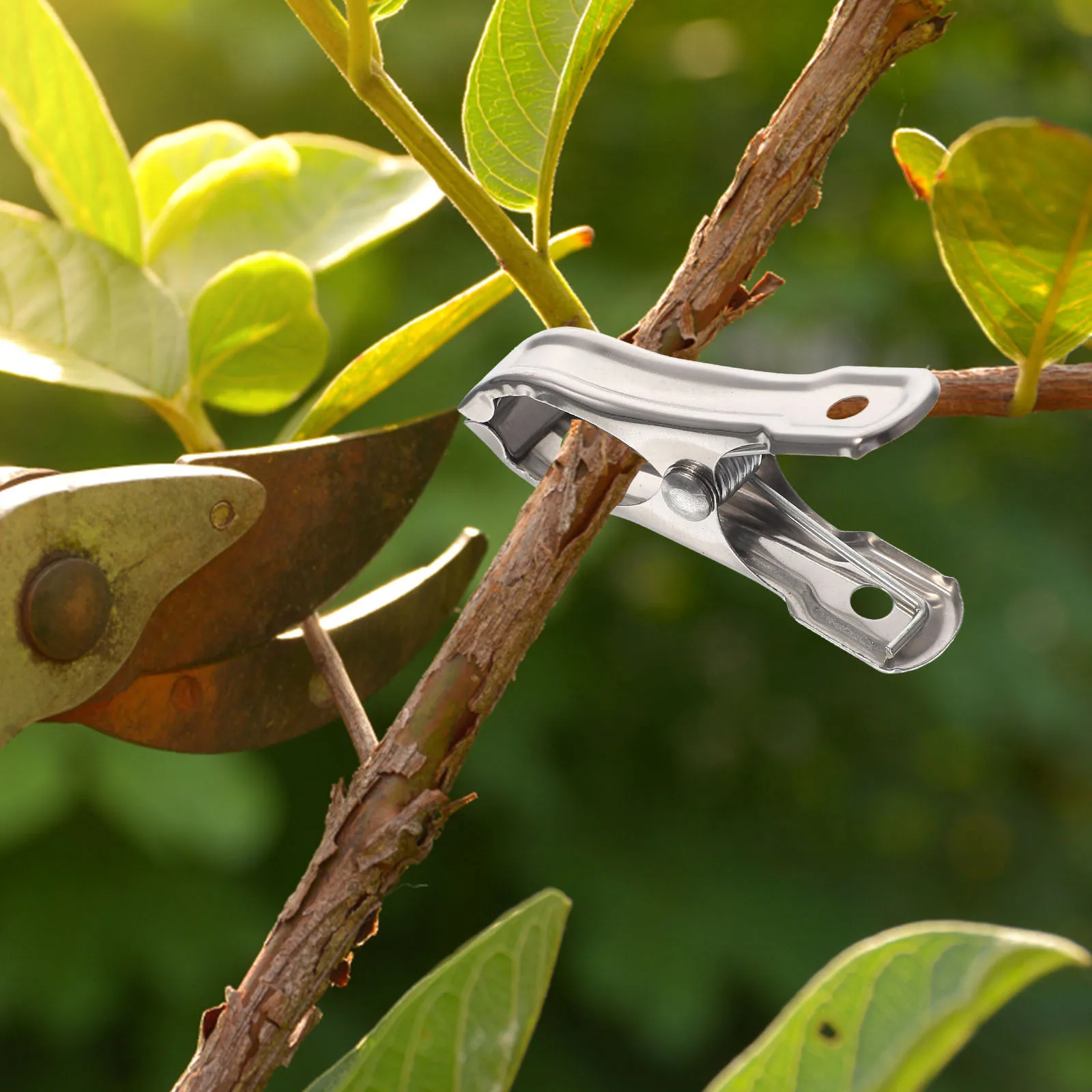 

40Pcs Garden Clips Stainless Steel Greenhouse Clamps Spring Clamps Multi-Purpose Netting Holder Fixing Clips Windproof