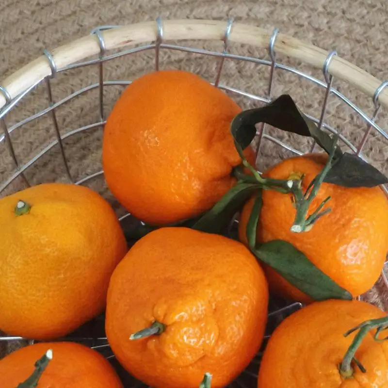 Corbeille de fruits en fil métallique tissée à la main, panier de rangement de fruits rétro pour jxFor 05/09/2018 snack