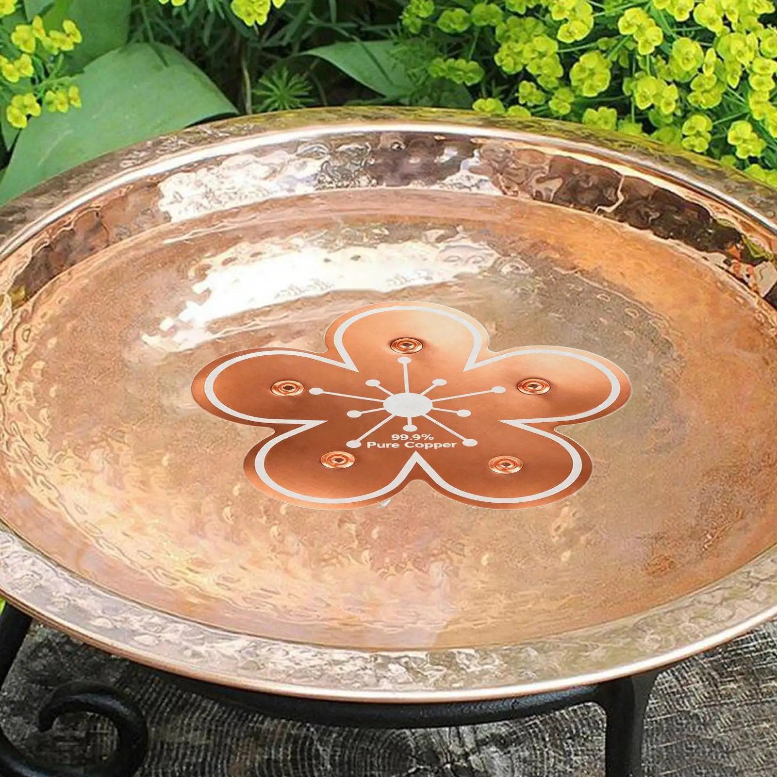 Copper Bird Bath Plate Birdbath Purification Disc with Triple-Point Support All-Season Birdbath Bowl Purifier Plate for Backyard