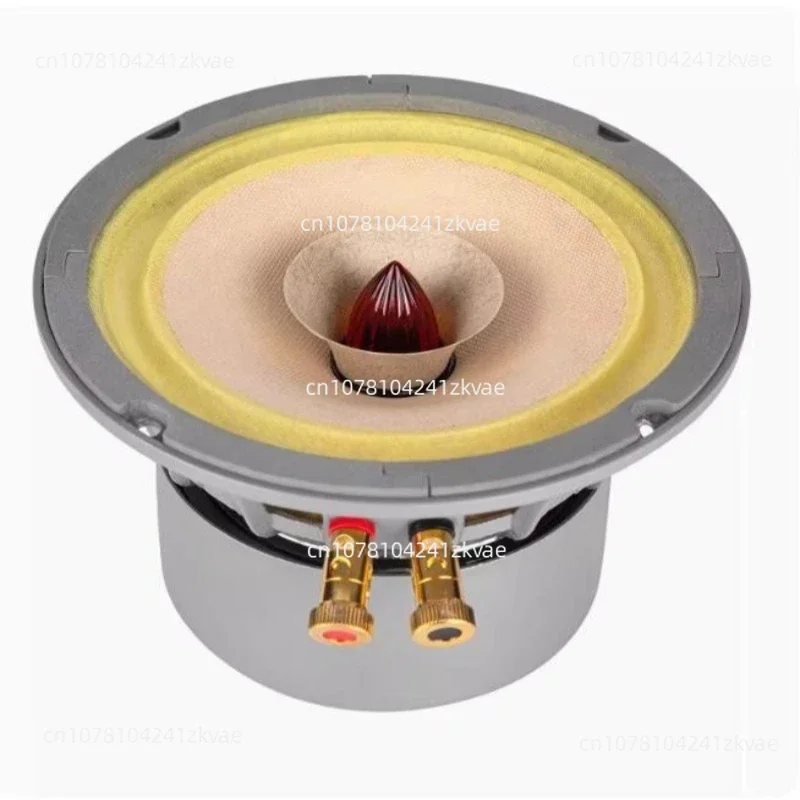 

Speaker Ideal Desktop and Bookshelf Unit 40-80W 8 Ohm 1 Pair B-001 Lii Song Fast6 6.5 Inch Full Range