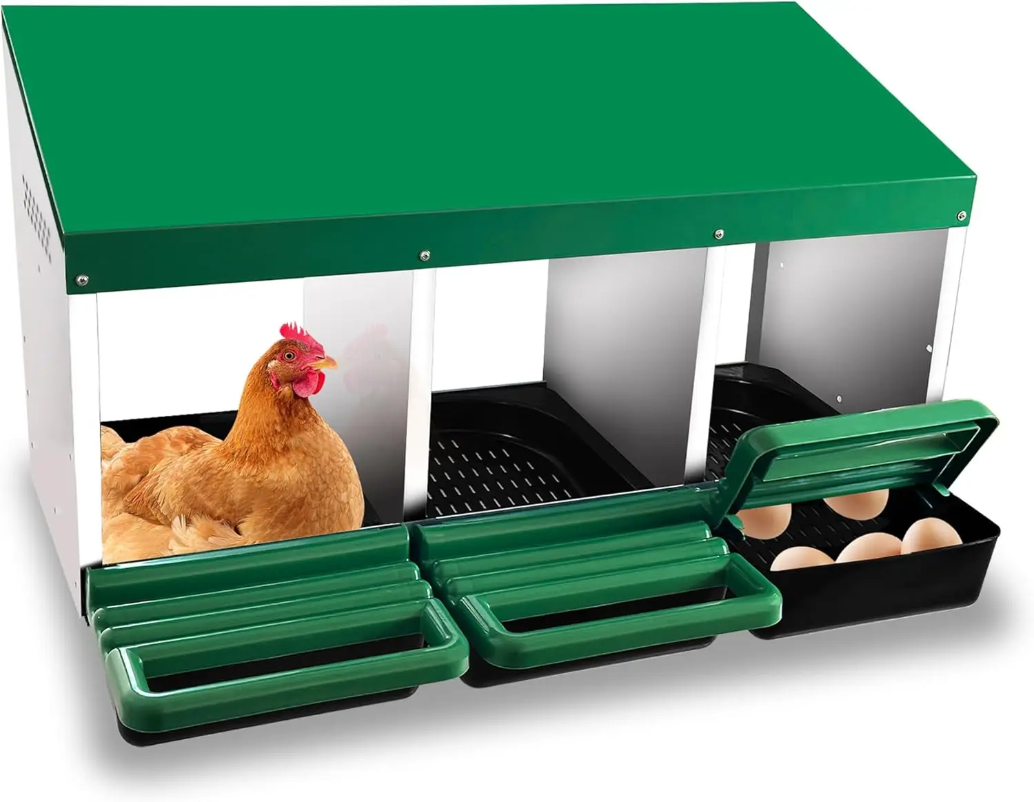 

3 Compartment Chicken Nesting Box for Hens with Egg Collection Tray, Green