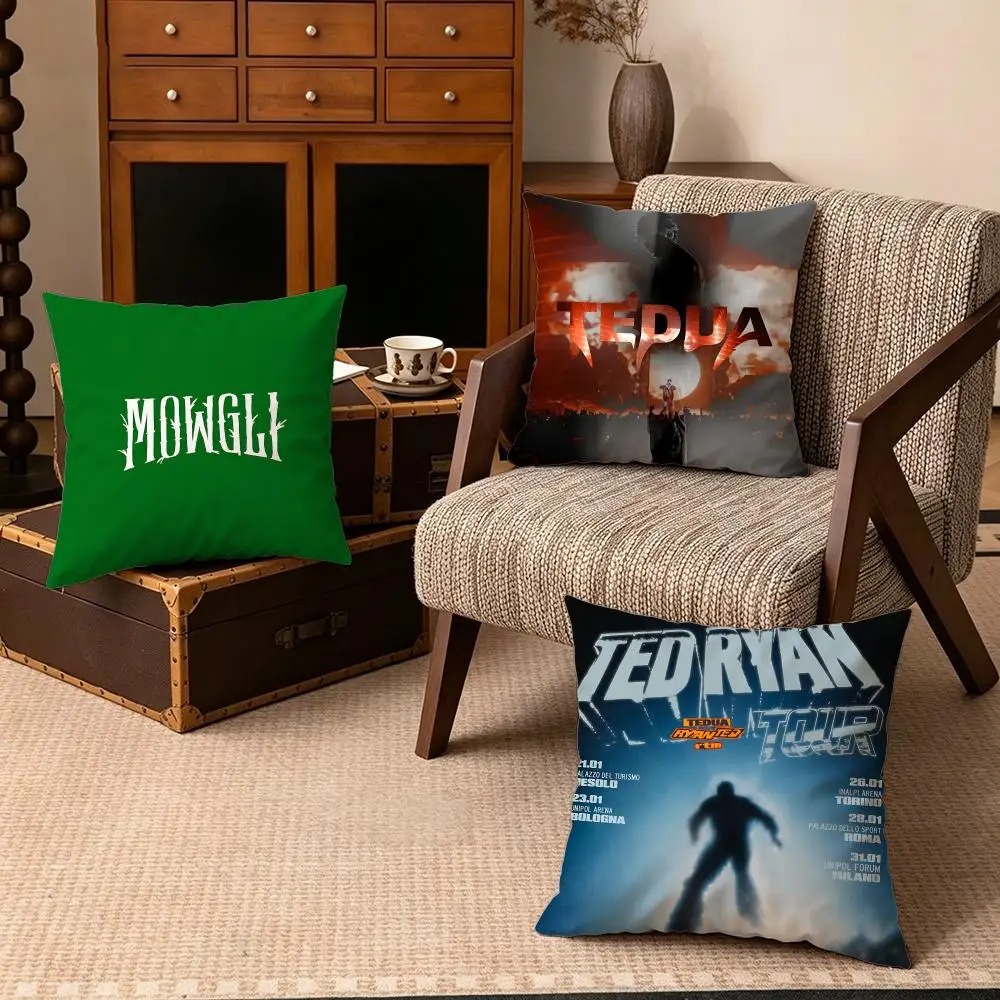 Celebrity-TeduaS Cushion Cover Soft Velvet Cushion Cover Set 4Pcs 50x50 45x45 Zipper Pillowcase for Home Decor