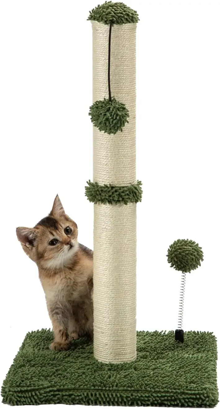 

Cat Scratching Post Premium Basics Kitten Scratcher Sisal Scratch Posts with Hanging Ball 22in for Kittens or Smaller Ca