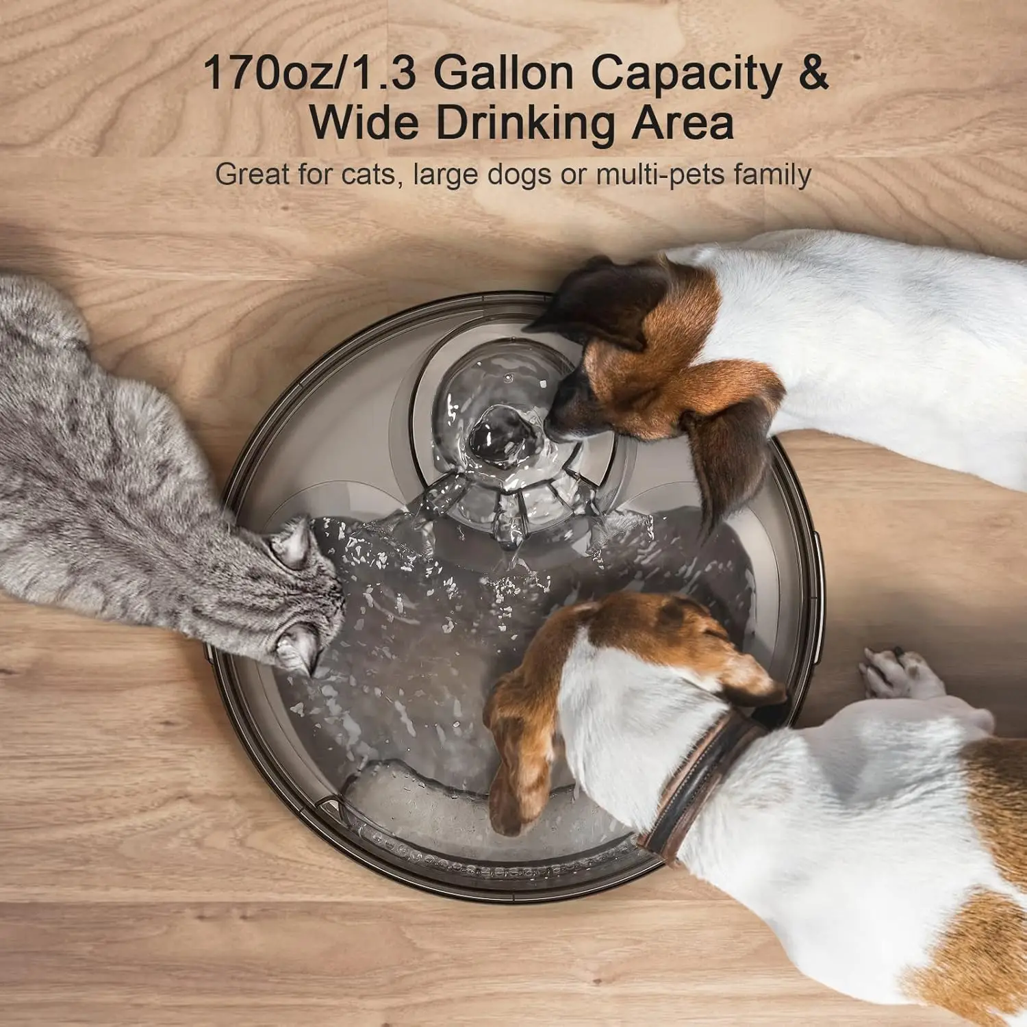 5L Large Automatic Pet Fountain 2