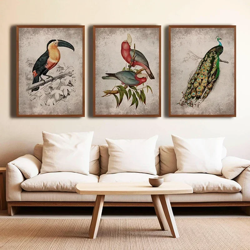 Vintage Toucan Peacock Bicheno Parakeet Canvas Painting Bird Bees and Rose Flower Posters Prints Wall Art Picture Home Decor