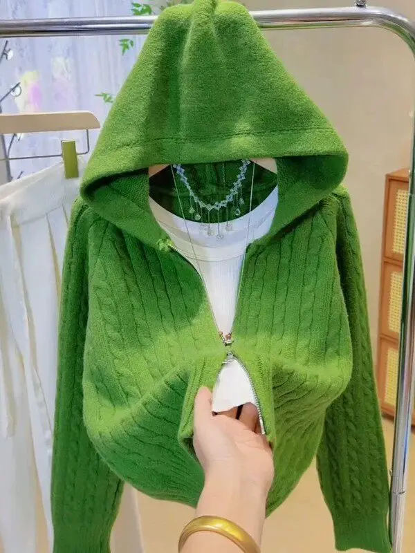 Loose Fit Chunky Knit Sweater Coat Women's Autumn Winter Casual Style Hooded Double Zipper Open Cardigan Versatile Short Length
