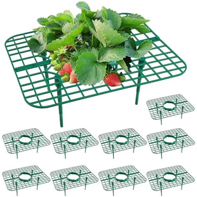 Suporte de suporte de plantio de morango, Morango Crescendo Racks, Frame de morango, Fácil de usar