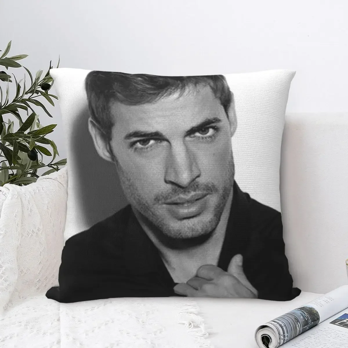 Pillow Cover William Levy Graphic Cushion Cover Handsome Model Actor Kawaii Pillow Case For Chair Home Decoration Pillowcases