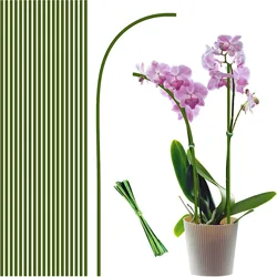 Bâtons de support de plantes réutilisables, porte-fleurs, clips d'orchidées, nouveaux bâtons de plantes pour soutenir les plantes grimpantes, outil de jardin, 20 pièces, 40 pièces, 60 pièces