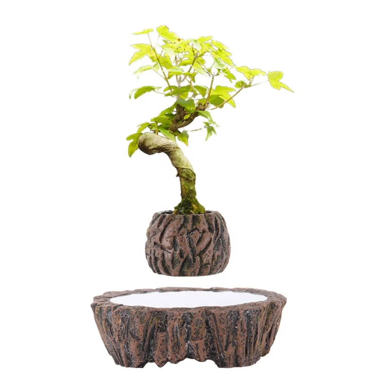 

Concrete Creative Bonsai Magnetic Levitation Floating Flower Pots Bonsai Pot and Planters Resin Succulent Flower Pots